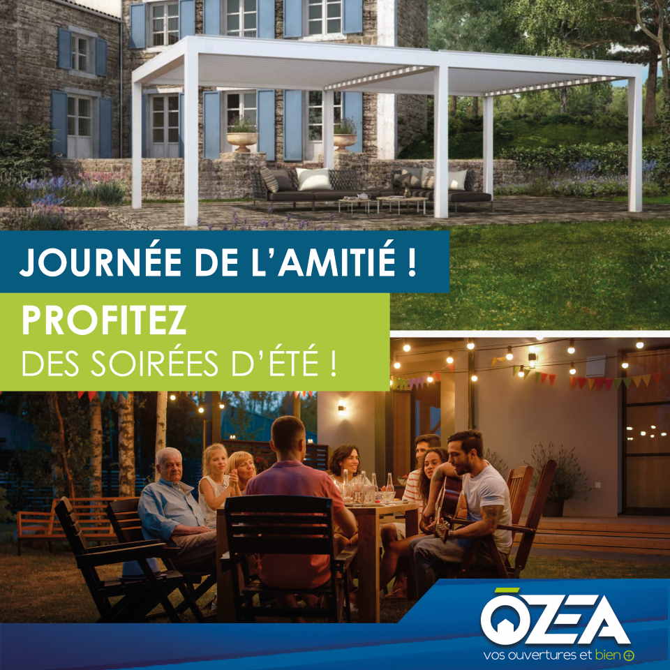 journee de lamiti C3 A9 1